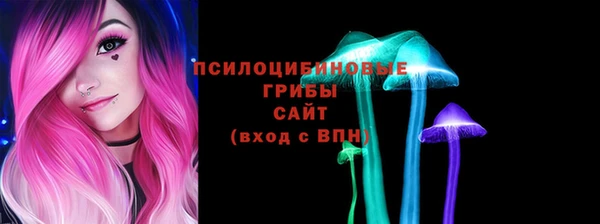 тгк Армянск