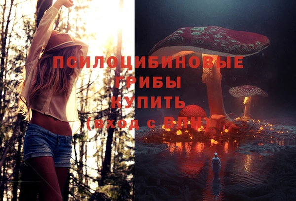 тгк Армянск
