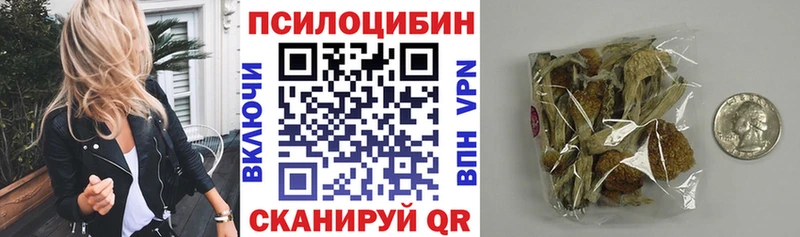 Купить где  Ярцево  Галлюциногенные грибы Magic Shrooms 